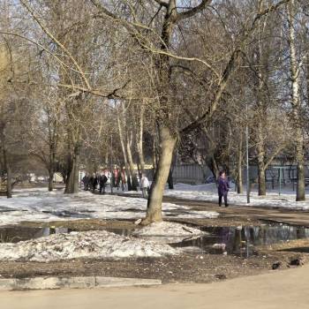 Сдается Нежилое помещение, 73,4 м²
