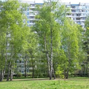 Продается 2-х комнатная квартира, 50 м²