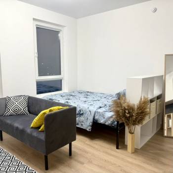 Сдается 1-комнатная квартира, 25,2 м²