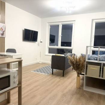Сдается 1-комнатная квартира, 25,2 м²