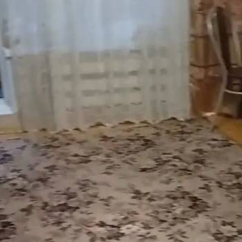 Сдается Комната, 16 м²