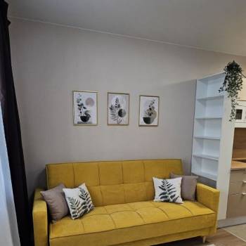 Сдается 1-комнатная квартира, 23,6 м²