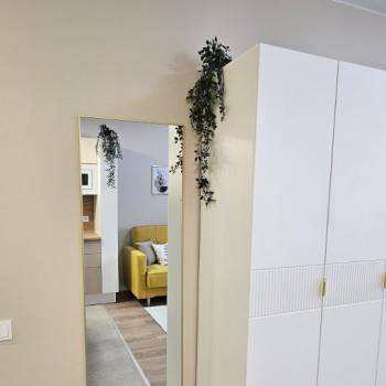 Сдается 1-комнатная квартира, 23,6 м²