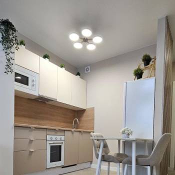 Сдается 1-комнатная квартира, 23,6 м²