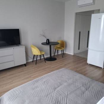 Сдается 1-комнатная квартира, 25,4 м²