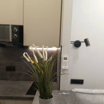Продается 1-комнатная квартира, 17,6 м²