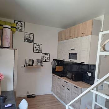 Продается 1-комнатная квартира, 21,2 м²