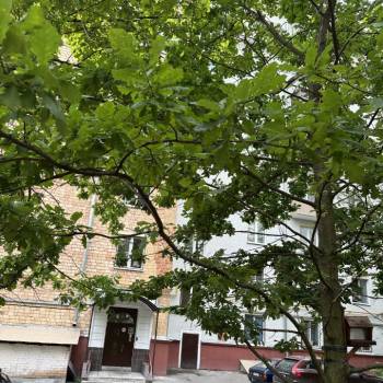 Сдается Многокомнатная квартира, 88,1 м²
