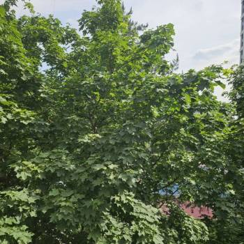 Продается 3-х комнатная квартира, 60 м²