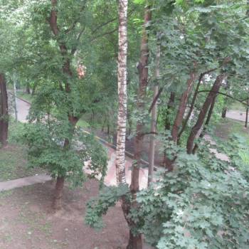 Сдается 2-х комнатная квартира, 43 м²