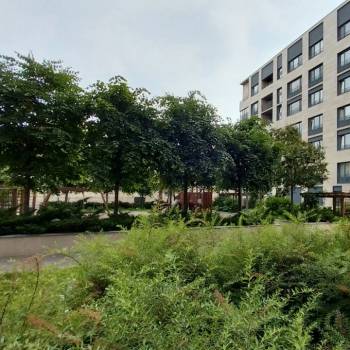 Сдается 2-х комнатная квартира, 47 м²