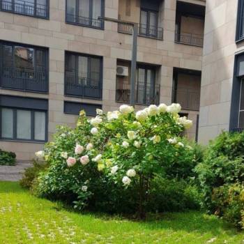 Сдается 2-х комнатная квартира, 47 м²