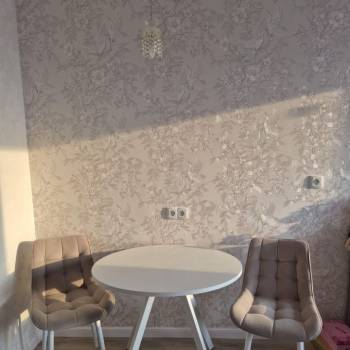 Сдается 1-комнатная квартира, 24,1 м²