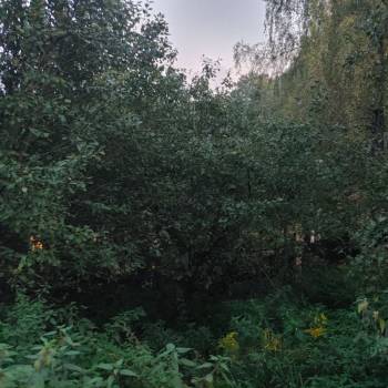 Продается Участок, 2100 м²