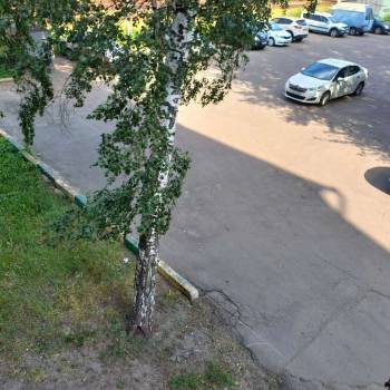 Сдается 2-х комнатная квартира, 56 м²