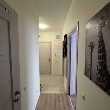 Сдается 2-х комнатная квартира, 53 м²