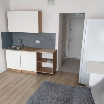 Сдается 1-комнатная квартира, 19,6 м²