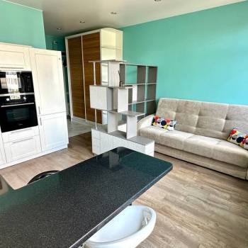 Сдается 1-комнатная квартира, 25,5 м²