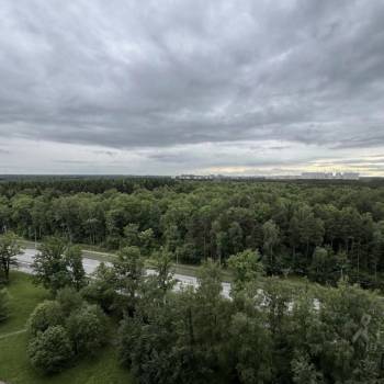 Сдается 1-комнатная квартира, 39 м²