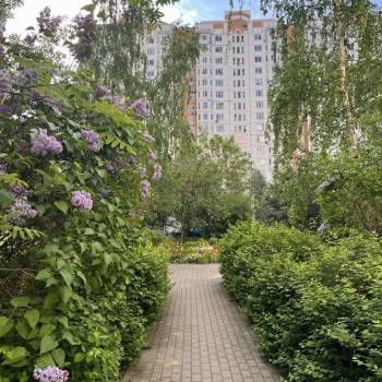 Сдается 2-х комнатная квартира, 54 м²