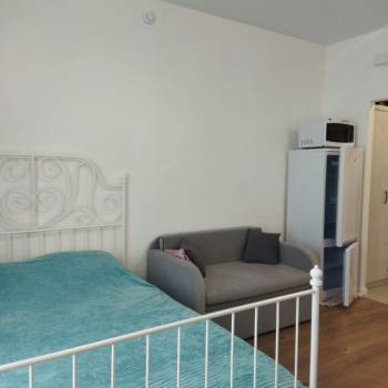 Сдается 1-комнатная квартира, 22,2 м²