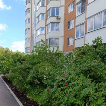 Сдается 1-комнатная квартира, 43 м²
