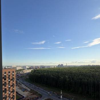 Сдается 1-комнатная квартира, 54,4 м²