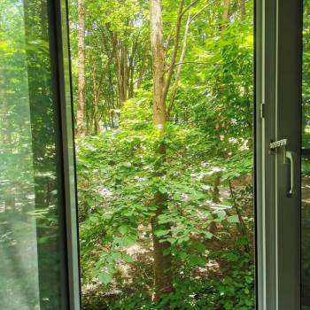 Сдается 2-х комнатная квартира, 46 м²