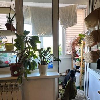Продается 1-комнатная квартира, 34,5 м²