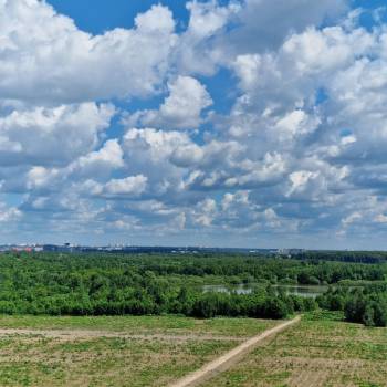 Сдается 1-комнатная квартира, 46 м²