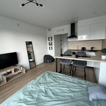 Сдается 1-комнатная квартира, 21,8 м²