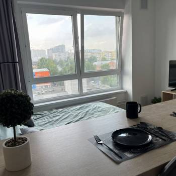 Сдается 1-комнатная квартира, 21,8 м²