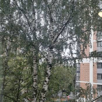 Продается 1-комнатная квартира, 14 м²