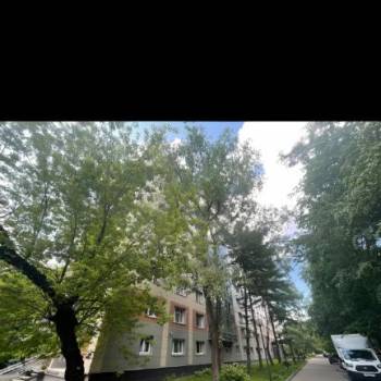 Сдается 1-комнатная квартира, 17,5 м²