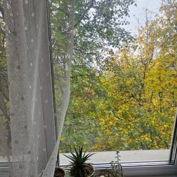 Сдается 1-комнатная квартира, 17,5 м²