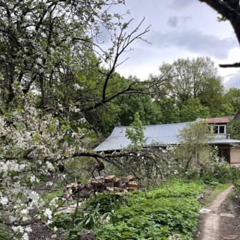 Продается Участок, 600 м²