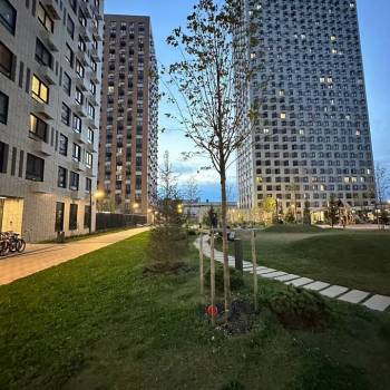 Сдается 1-комнатная квартира, 19,8 м²