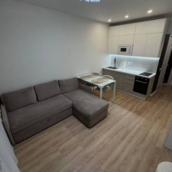 Сдается 1-комнатная квартира, 19,8 м²