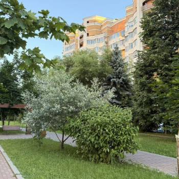 Продается 1-комнатная квартира, 54,1 м²