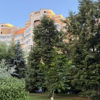 Продается 1-комнатная квартира, 54,1 м²