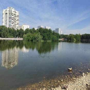 Продается 2-х комнатная квартира, 51 м²