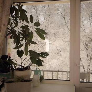 Сдается 2-х комнатная квартира, 43 м²