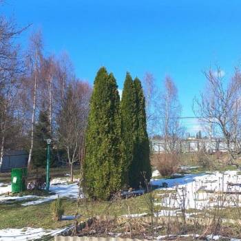 Продается Участок, 1500 м²