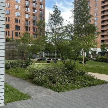 Сдается 1-комнатная квартира, 34 м²