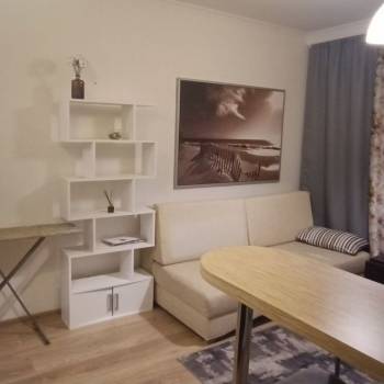Сдается 1-комнатная квартира, 22,5 м²