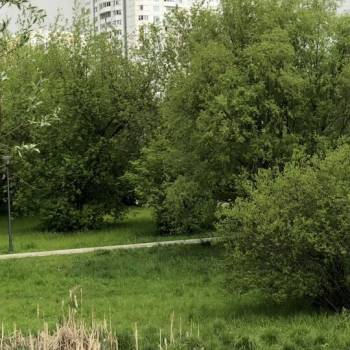 Продается 1-комнатная квартира, 41,3 м²