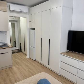 Сдается 1-комнатная квартира, 19,8 м²