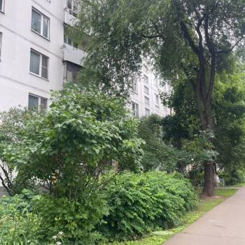 Сдается 1-комнатная квартира, 33 м²