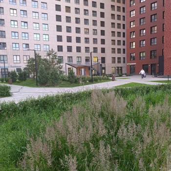 Сдается 2-х комнатная квартира, 53 м²
