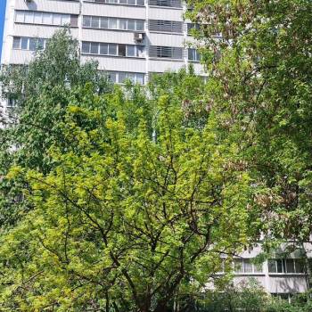 Продается 2-х комнатная квартира, 37,5 м²